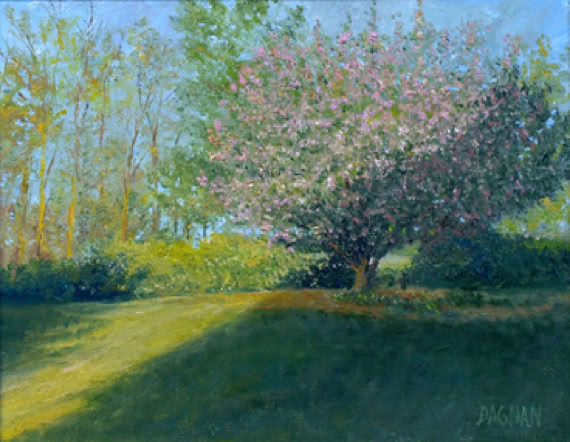 Painting of Spring tree with blossoms and evening sunlight